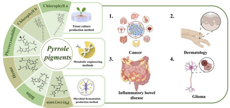 Natural Food Pigments: From Biosynthesis to Application | asb | RMH | Scoop.it