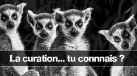 Community Manager ! La curation au service de votre entreprise | La Curation, avenir du web ? | Scoop.it