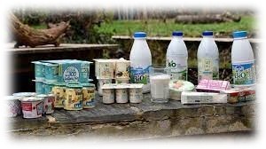 Conso : Tous les produits laitiers bio reculent | Lait de Normandie... et d'ailleurs | Scoop.it
