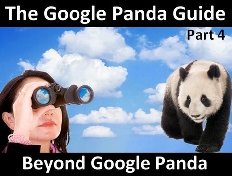 The Google Panda Guide: Part 4 - The Future I Would Like To See | Google Penalty World | Scoop.it