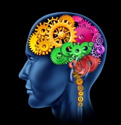 INTELLIGENCE : Et si la flexibilité était la clé ? | Médecine  Cerveau Intelligence | Scoop.it