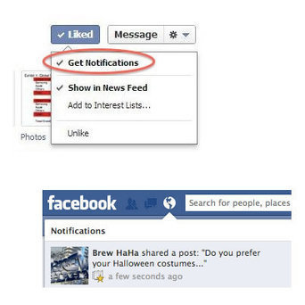 Facebook EdgeRank Truth: Page Feed Reach and Promoted Posts | Social Marketing Revolution | Scoop.it