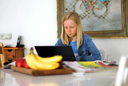 Digitales Lernen in der Corona-Krise - [ Deutscher Bildungsserver] - Kostenlose digitale Lernangebote für Grundschule und Sekundarstufe | E-Learning - Digital Technology in Schools - Distance Learning - Distance Education | Scoop.it
