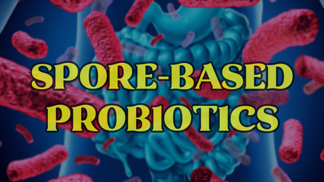Spore-Based Probiotics and The Gut | El Paso, TX Chiropractor | Call: 915-850-0900 | The Gut "Connections to Health & Disease" | Scoop.it