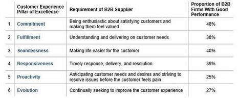 The Six Pillars of B2B Customer Experience Excellence | Tampa Florida Marketing | Scoop.it