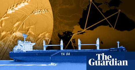 The Black Sea blockade: mapping the impact of war in Ukraine on the world’s FOOD supply | CIHEAM Press Review | Scoop.it