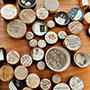 Anchoring Biodiversity Information: From Sherborn to the 21st century and beyond | Biodiversité | Scoop.it
