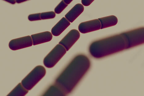 Biocontr&ocirc;le des biofilms de Bacillus cereus en agroalimentaire | AGROALIMENTAIRE | Scoop.it