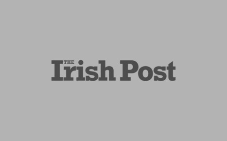 Irish cabinet set to review 'Jennie's Law' establishing domestic violence register - The Irish Post | Operation Oya | Scoop.it