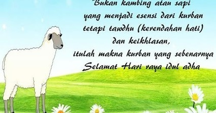 Kumpulan Pantun Lucu Idul Adha Buat Pacar Terba