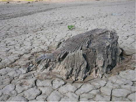 Question d'actualité - La crisis climática en España | Veille Éducative - L'actualité de l'éducation en continu | Scoop.it