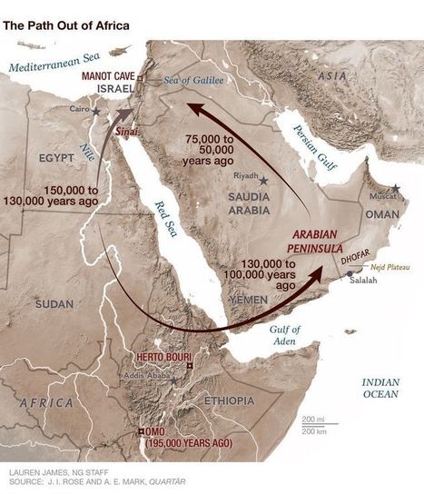Trail of Tools Reveals Modern Humans' Path Out of Africa | Amazing Science | Scoop.it