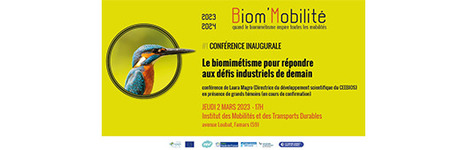 Le biomimétisme pour répondre aux défis industriels de demain - i-TRANS | Biodiversité | Scoop.it