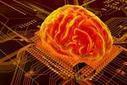 How Close Are We to Simulating the Human Brain? | Science News | Scoop.it
