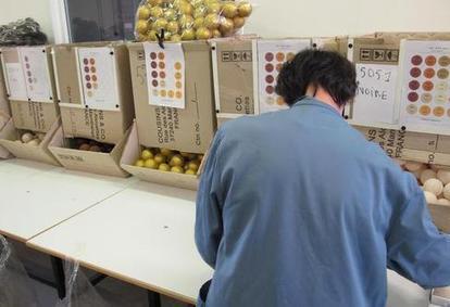 Une porte grande ouverte sur le travail | Revue de presse économique du Sud Touraine | Scoop.it