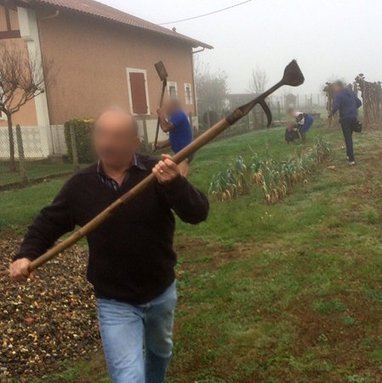 Op&eacute;ration pinsons 2015 - Actualit&eacute;s - LPO | Plan&egrave;te, Nature et Biodiversit&eacute; | Scoop.it