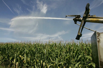 Irrigation sur le bassin de l’Adour : Irrigadour réagit à la diminution des autorisations des volumes prélevés | Nouvelle-Aquitaine | Scoop.it