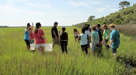 Citizen Science in Your Outdoor Classroom | Rainforest CLASSROOM | Scoop.it