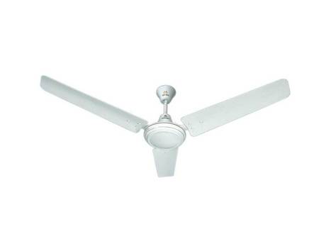 Buy Stylish And Powerful Ceiling Fans For Your