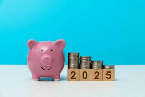 DGF, taxe professionnelle, exercice des mandats locaux : découvrez les montants pour 2025 | Finances, fiscalité & commande publique. Juridique | Scoop.it