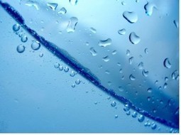 17 objectifs de d&eacute;veloppement durable propos&eacute; &agrave; l&rsquo;Assembl&eacute;e G&eacute;n&eacute;rale des Nations unies dont un sur l&rsquo;eau. | Partenariat fran&ccedil;ais pour l'eau | Biodiversit&eacute; | Scoop.it