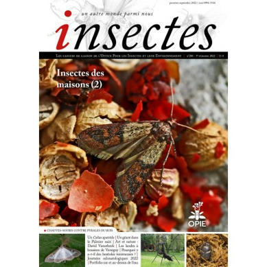 Insectes n°206, troisième trimestre 2022 : insectes des maisons (2) | Variétés entomologiques | Scoop.it