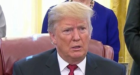 New York Democrats have their own plan to get Trump's tax returns - RawStory.com | Operation Deimos | Scoop.it
