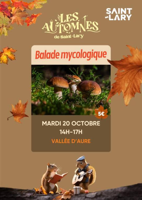 Balade Mycologique &agrave; Saint-Lary Soulan le 20 octobre | Vall&eacute;es d'Aure & Louron - Pyr&eacute;n&eacute;es | Scoop.it