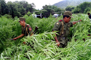 Mexico just approved a major change to its drug policy | ReactNow - Latest News updated around the clock | Scoop.it