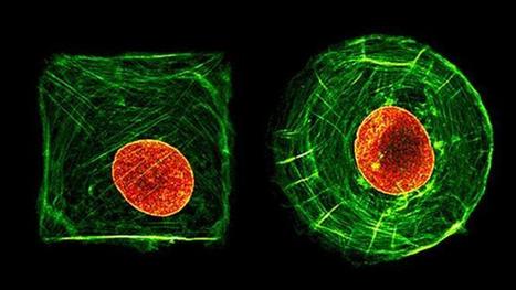 Vapaa kiimainen teini porno videoita