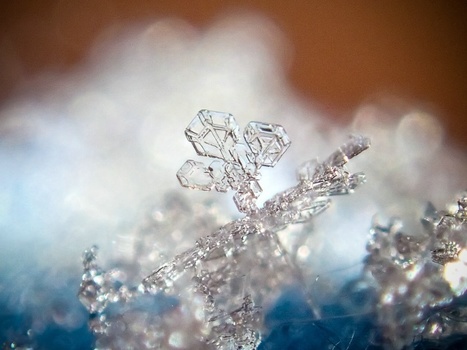 How To Photograph Snowflakes | Mobile Photography | Scoop.it