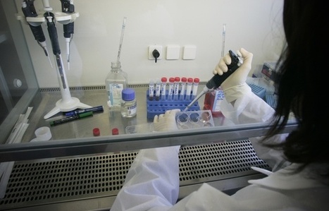 Le retrait d'une enzyme pourrait freiner la progression du cancer du pancréas | Revue de presse | Scoop.it