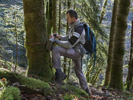 Concours de technicien de l'environnement : les inscriptions sont ouvertes ! | Biodiversité | Scoop.it