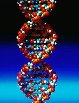 Selfless Genes: A New Revolution in Biology | Science News | Scoop.it