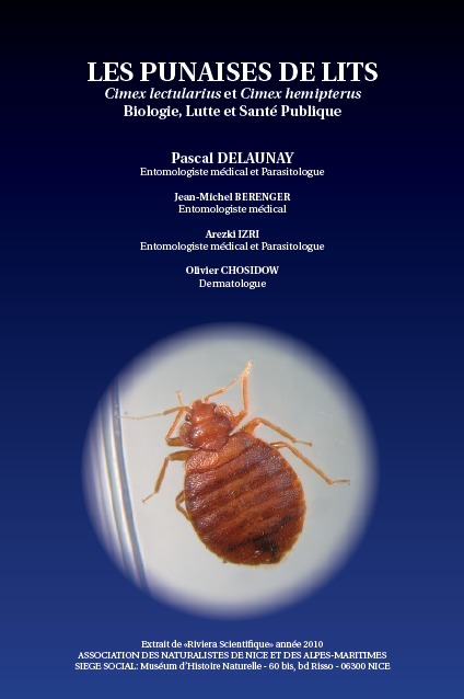 Les punaises de lit : informations et conseils | Insect Archive | Scoop.it