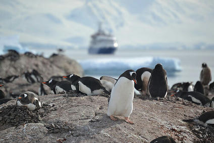 IAATO: Zahlen zum Antarktis-Tourismus | touristik aktuell | Fachzeitung für Touristiker | (Macro)Tendances Tourisme & Travel | Scoop.it