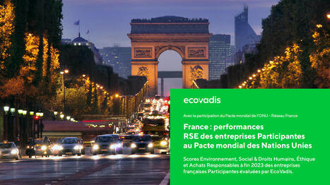 Performance RSE : les entreprises engagées dans des initiatives volontaires se démarquent | Actualités Achats Responsables | Scoop.it