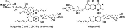 Aromatic Polyketide Production in Cordyceps indigotica, an Entomopathogenic Fungus, Induced by Exposure to a Histone Deacetylase Inhibitor | Natural Products Chemistry Breaking News | Scoop.it
