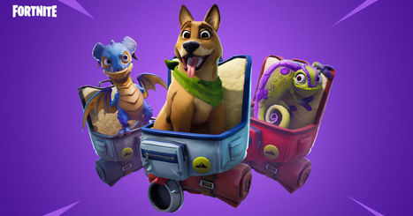 Fortnite Season Things I Need To Know Fortni - fortnite season things i need to know fortnite season six arrives with invisibility and pets shadow stones and more new skins