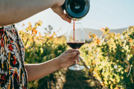 Wine may be good for the heart, new study says, but experts aren&rsquo;t convinced - Read the last three paragraphs (also below) | Hospitals and Healthcare | Scoop.it