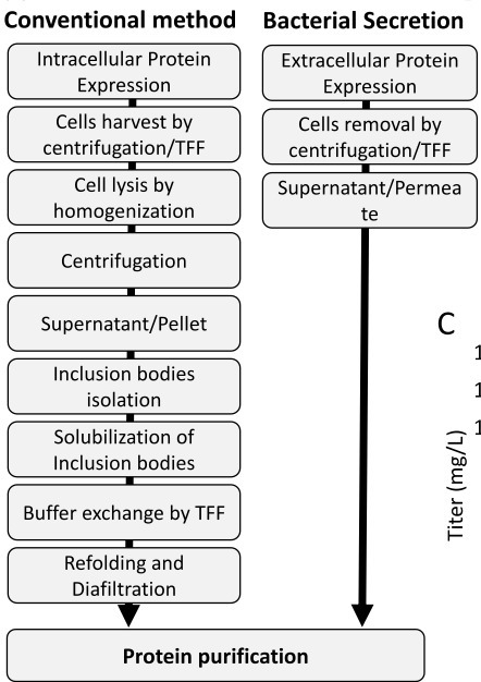 Continuous secretory production in E. coli enables scalable, high-titer manufacturing of active recombinant endonucleases | Jbe | RMH | Scoop.it
