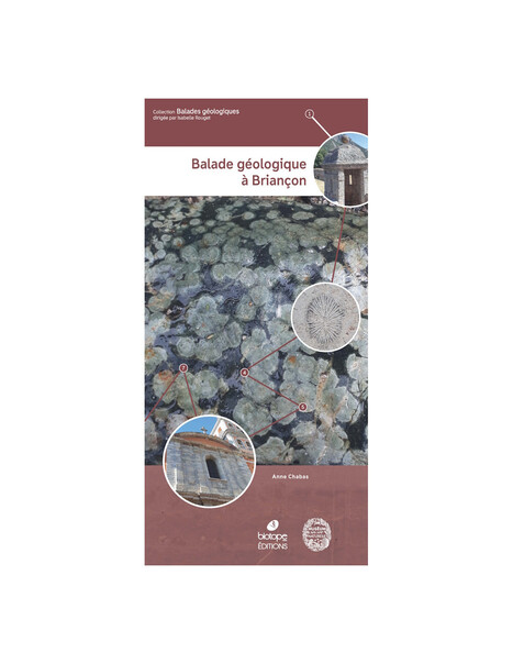 Balade g&eacute;ologique &agrave; Brian&ccedil;on | Publications | Scoop.it