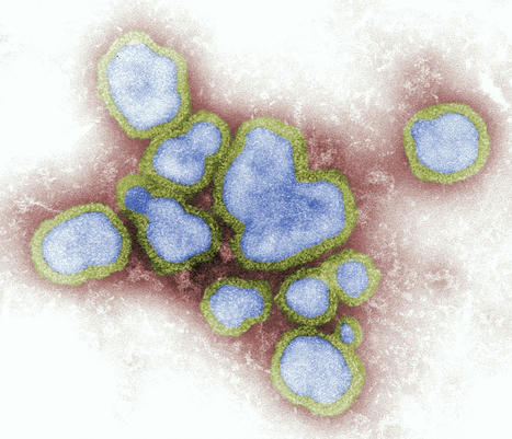 Study Shows Experts Rate Influenza as the Number One Pathogen of Concern of Pandemic Potential | Virus World | Scoop.it