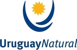 Uruguay Natural: ¿concepto o simple marca? | MOVUS | Scoop.it