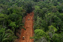 Oil company breaks agreement, builds big roads in Yasuni rainforest - Mongabay.com | RAINFOREST EXPLORER | Scoop.it