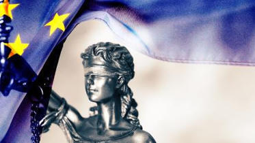 Fraude aux financements europ&eacute;ens : un pr&eacute;judice de 49 milliards d'euros | Administration et Finances | Scoop.it