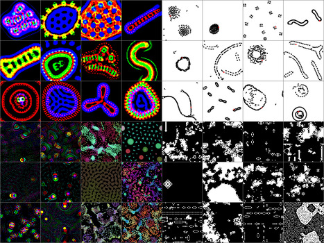 Automating the Search for Artificial Life with Foundation Models | Papers | Scoop.it