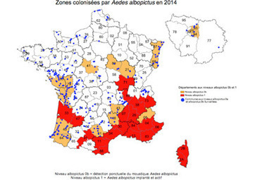 Contre le moustique-tigre, une veille citoyenne au goût de marketing | EntomoNews | Scoop.it