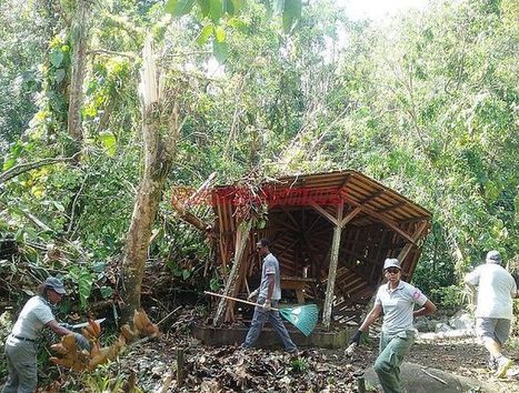 Le Parc national a souffert : ses agents se mobilisent | Biodiversité | Scoop.it