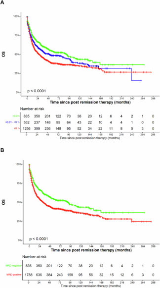 Measurable residual disease assessment as an early end point of treatment efficacy in acute myeloid leukemia: a multinational PETHEMA study of 2623 patients treated with intensive therapy | Leukemia | Hematology | Scoop.it